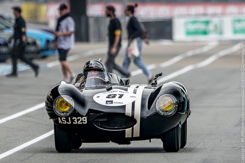 381 – JAGUAR D-TYPE – 1955 – LE MANS CLASSIC – PLATEAU 3