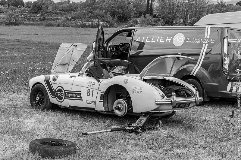 Tour Auto 2023 - Austin Healey 100-4