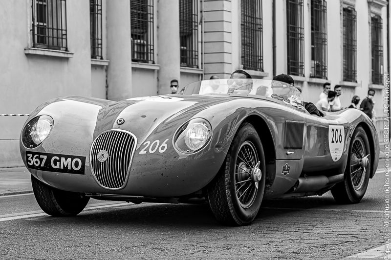 MM - 206 - JAGUAR - C-TYPE - 1952 - MILLE MIGLIA